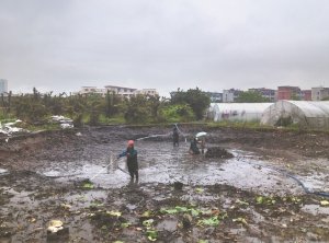 衢州河道鱼塘清淤